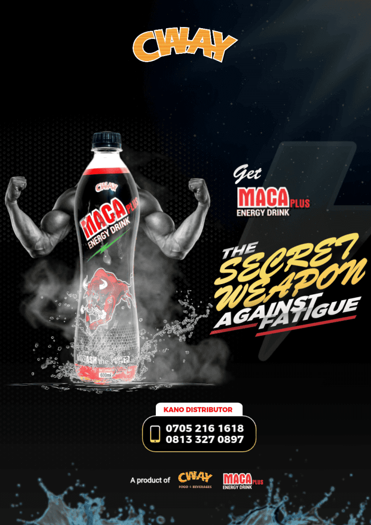 Best Web Design Digital Marketing in Kano City Web Design and Development Graphics Design Picture