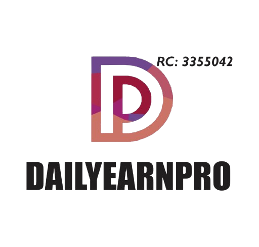 Client 1: The Best Web Design Digital Marketing Company in Kano